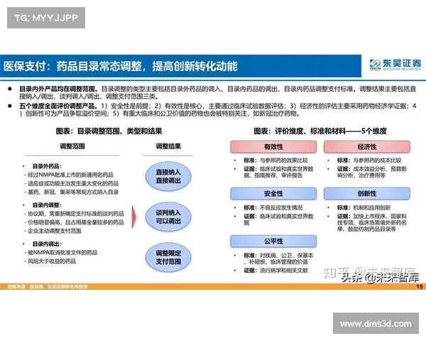 确保外域探索的安全性与有效性:策略、技术与管理的综合应用探讨 确保外域探索的安全性与有效性:策略、技术与管理的综合应用探讨